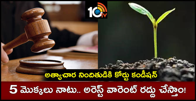 Plant 5 saplings, will cancel arrest order: Court tells rape accused