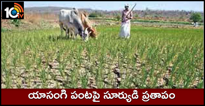 10TV Telugu News