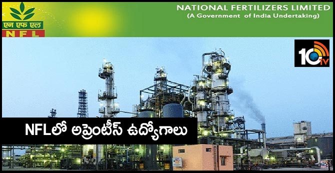 NFL Recruitment 2019 Apply For 145 Apprentice Post