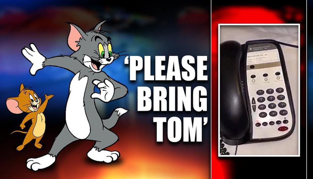 Man finds ‘Jerry’ in room, asks hotel to bring ‘Tom’. Netizens in splits as video goes viral
