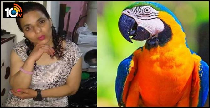 Parrot key witness in rape and murder trial as it 'heard owner's last words'