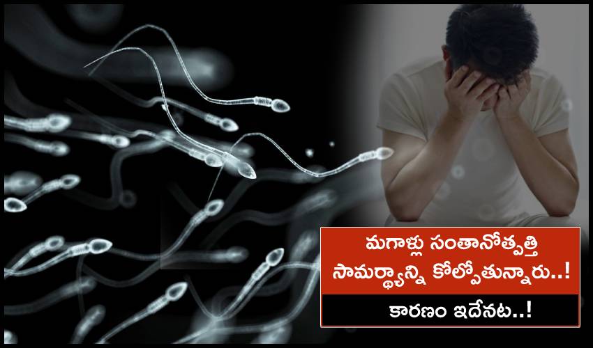10TV Telugu News