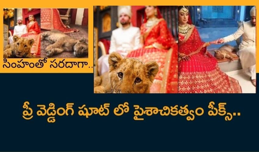 10TV Telugu News