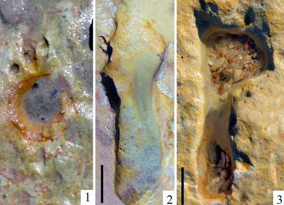 Footprints