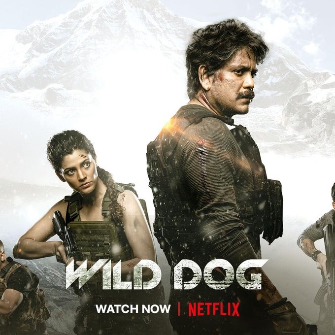 Wild Dog