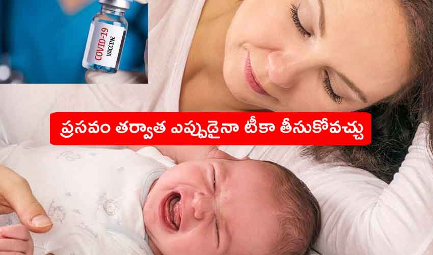 10TV Telugu News
