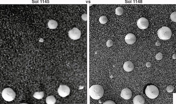 Fungi In Mars Photos