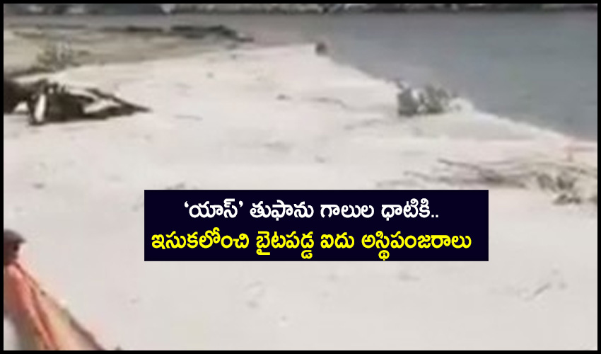 10TV Telugu News