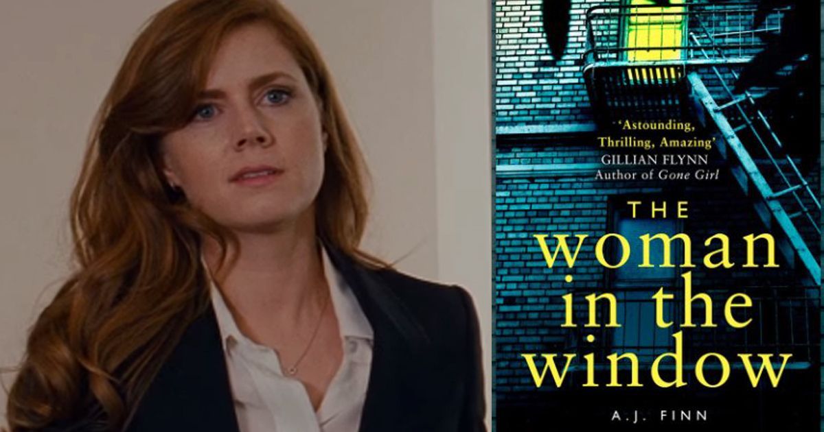 The Woman In The Window