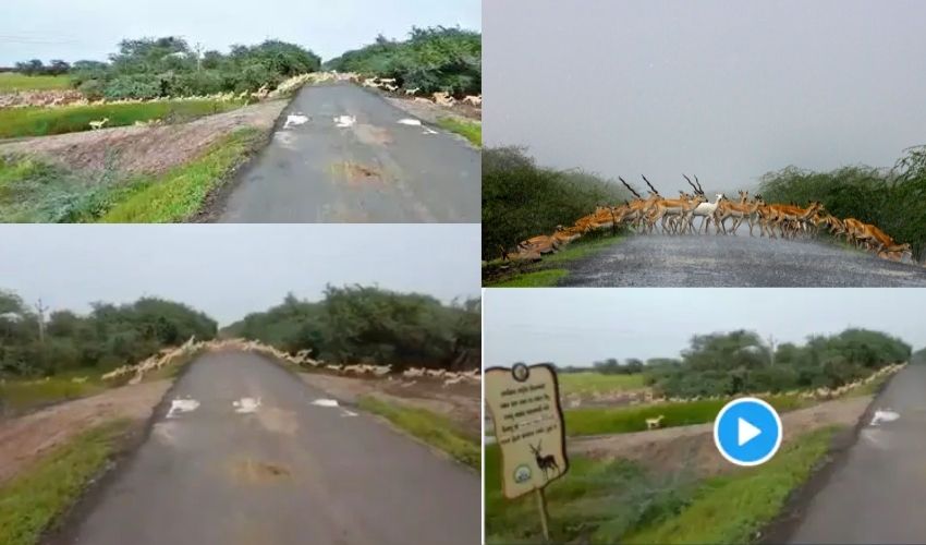 10TV Telugu News