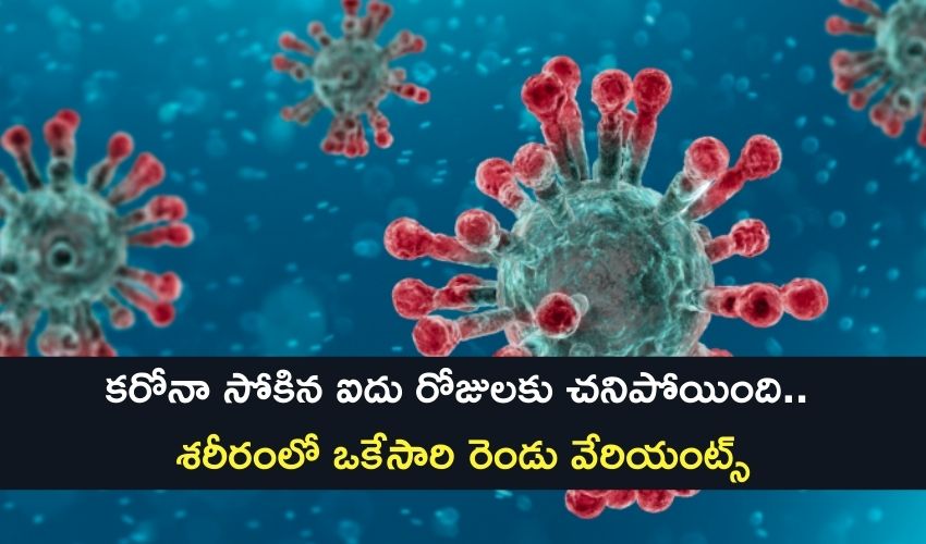 10TV Telugu News