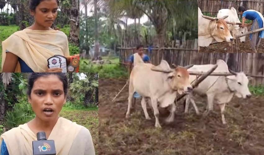 10TV Telugu News