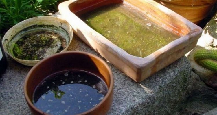 Waste Water Storage