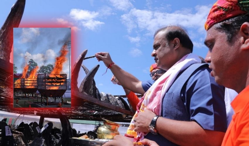 10TV Telugu News
