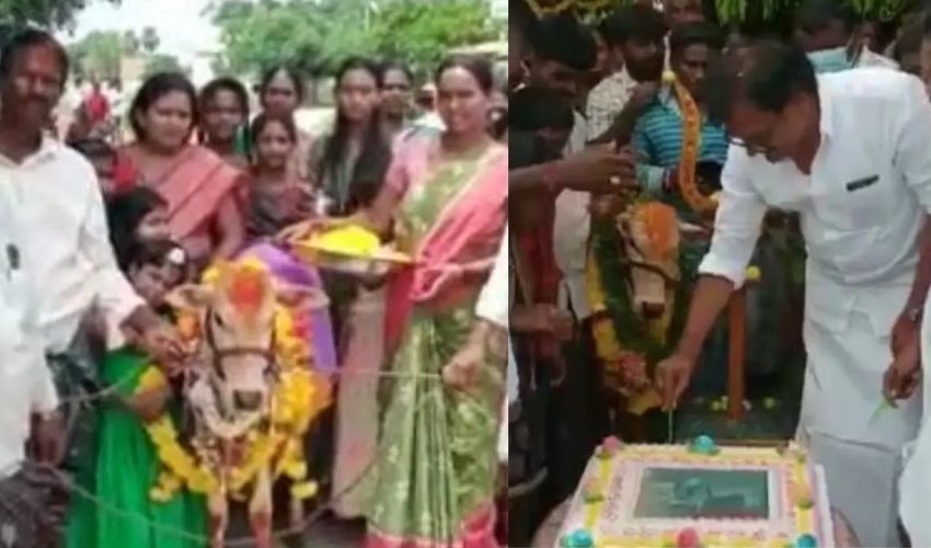 10TV Telugu News