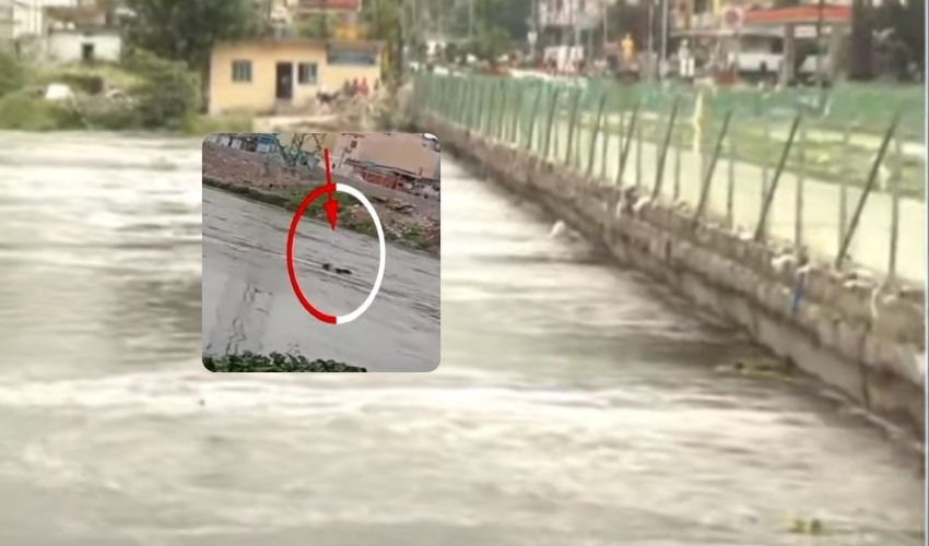 10TV Telugu News