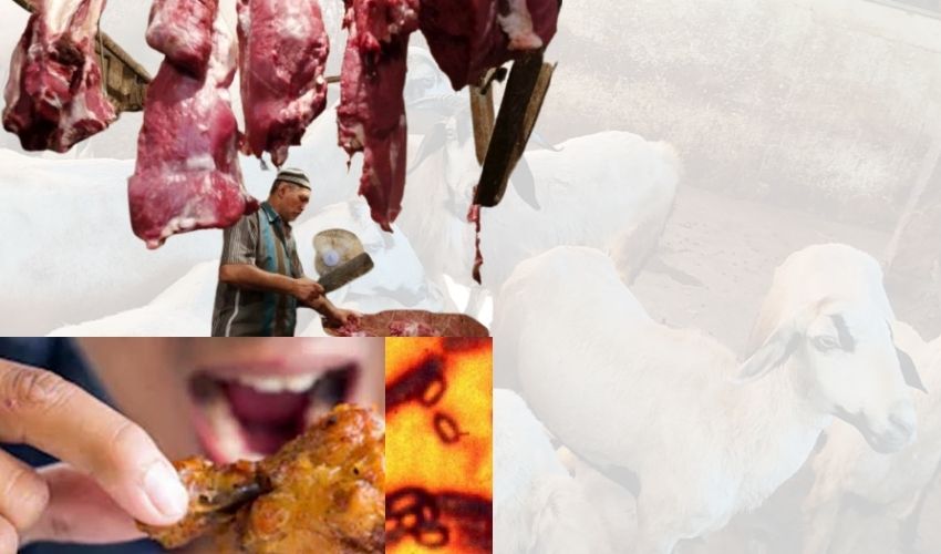 Anthrax : మాంసం తింటున్నారా..అయితే జాగ్రత్త, ఆంత్రాక్స్ కలవరం..నిపుణుల సూచనలు | Warangal Anthrax Beware Of Undercooked Meat