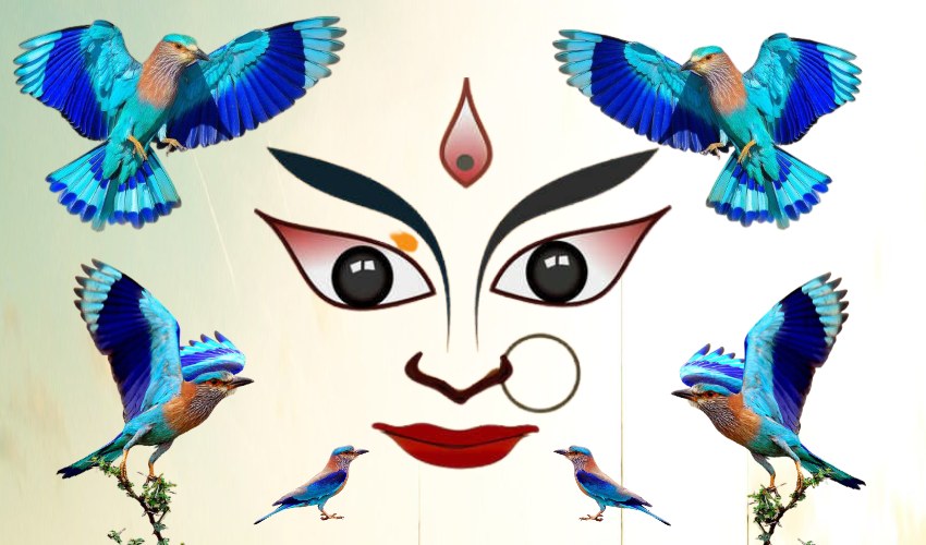 10TV Telugu News